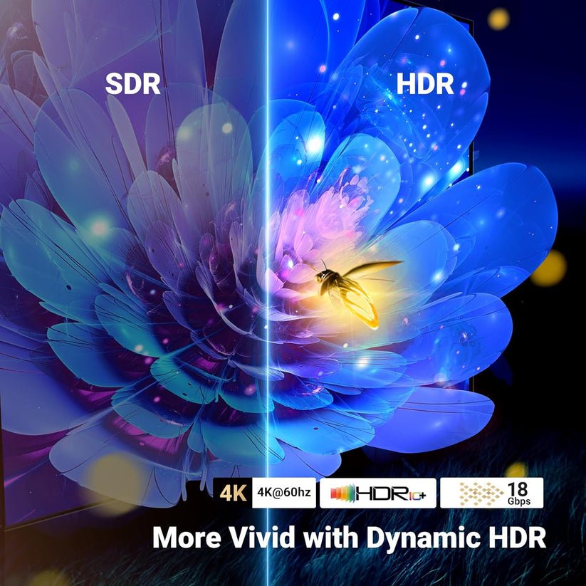 71nkAZz9ydL._AC_SL1500[1]